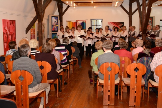 Pěvecké sdružení Kopřivnice na archivní fotografii z roku 2014. I v letošním roce by se sbor měl svému publiku v Muzeu na Fojtství předvést.
FOTO: DAVID MACHÁČEK