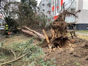Větrné počasí v závěru minulého týdne si vynutilo i zásahy hasičů. Ti likvidovali nejen popadané stromy a větve, ale zasahovali i u poškozených střech.
FOTO: JSDH KOPŘIVNICE