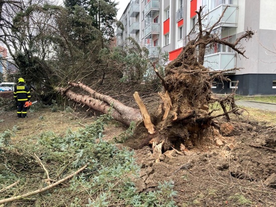Větrné počasí v závěru minulého týdne si vynutilo i zásahy hasičů. Ti likvidovali nejen popadané stromy a větve, ale zasahovali i u poškozených střech.
FOTO: JSDH KOPŘIVNICE