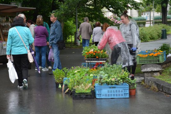 Druhému farmářskému trhu letošní sezony nepřálo počasí. Zájem nakupujících byl slabší.
FOTO: DANA HOĎÁKOVÁ
