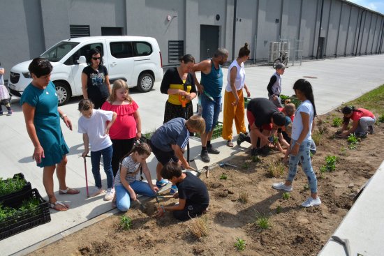 Žáci ze ZŠ Floriána Bayera vysazovali trvalkami záhon mezi novým muzeem nákladních automobilů a restaurací Tatrovka.
FOTO: DANA HOĎÁKOVÁ