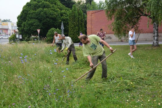 Pracovníci odboru životního prostředí kopřivnické radnice podpořili iniciativu Jaromíra Vrtělky, který prosazuje, aby se louky kosily bez použití motorových sekaček.
FOTO: DANA HOĎÁKOVÁ