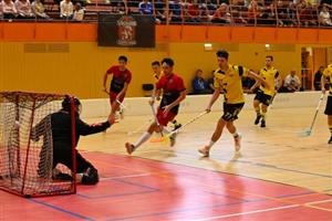 Jiří Toman (s číslem 6) přihlíží vyrovnávacímu gólu svého bratra Jana (č. 16). Vikingové si před zaplněnou tribunou sportovní haly připsali vítězství nad Rožnovem p. R. 
FOTO: LUKÁŠ BUKOVJAN