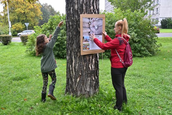 System.Linq.Enumerable+<TakeIterator>d__25`1[System.Char]