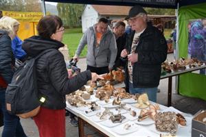 Zájem o konzultace s mykologem Jaromírem Durčekem posílila letošní vydatná houbařská sezona.
FOTO: DANA HOĎÁKOVÁ