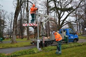 V  minulém týdnu pracovníci Slumeka vyměnili v sadu E. Beneše tři dosavadní svítidla za LED světelné zdroje s různou barvou světla. Ta mají umožnit v praxi otestovat, jak jednotlivé druhy osvětlení působí.
FOTO: DANA HOĎÁKOVÁ