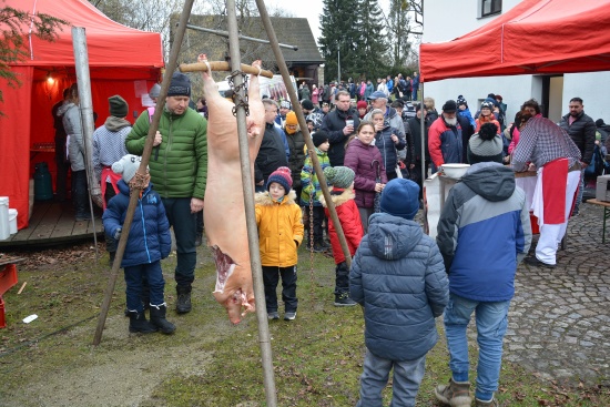 Po covidové pauze přišly na zabijačkovou akci do areálu Muzea Fojtství stovky lidí. Ti si užili nejen ukázky řeznického řemesla, ale především tradiční zabijačkové pochutiny.
FOTO: DANA HOĎÁKOVÁ
