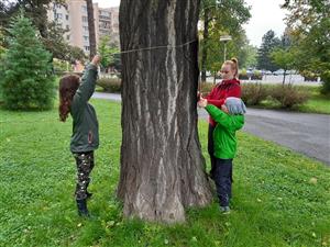 Výstava na stromech 2022 1