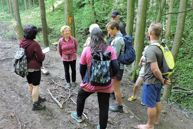 Možnost lépe poznat faunu a flóru v okolí Kopřivnice při procházkách se zoologem a botanikem využilo zhruba pětatřicet účastníků komentovaných vycházek. FOTO: DANA TICHAVSKÁ