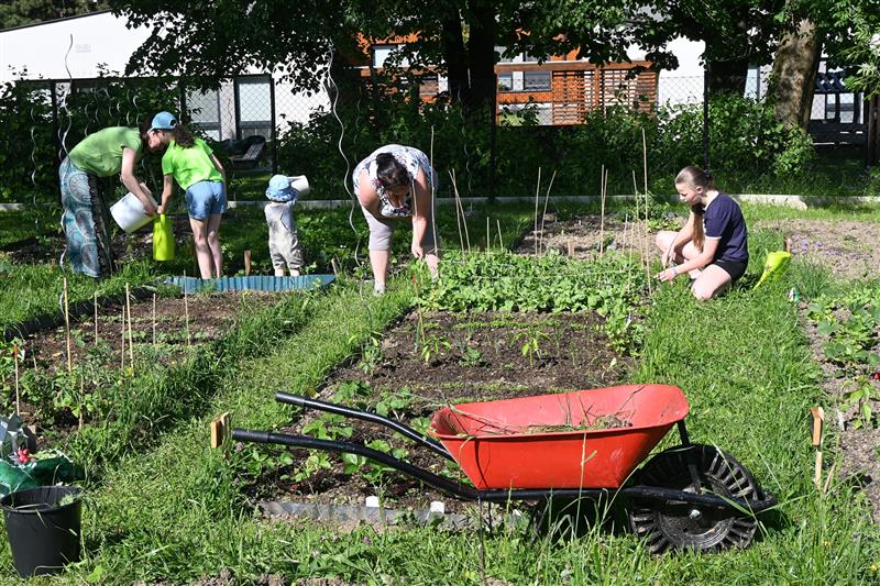 Letos založená komunitní zahrada v prostoru pod sportovní halou ZŠ E. Zátopka už nese první plody. Lidé ji budou moci navštívit 13. června od 14.30 hodin. FOTO: DAVID MACHÁČEK