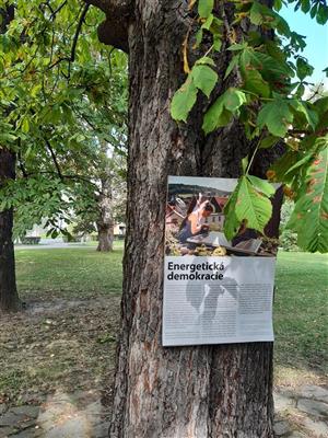 Výstava na stromech 3