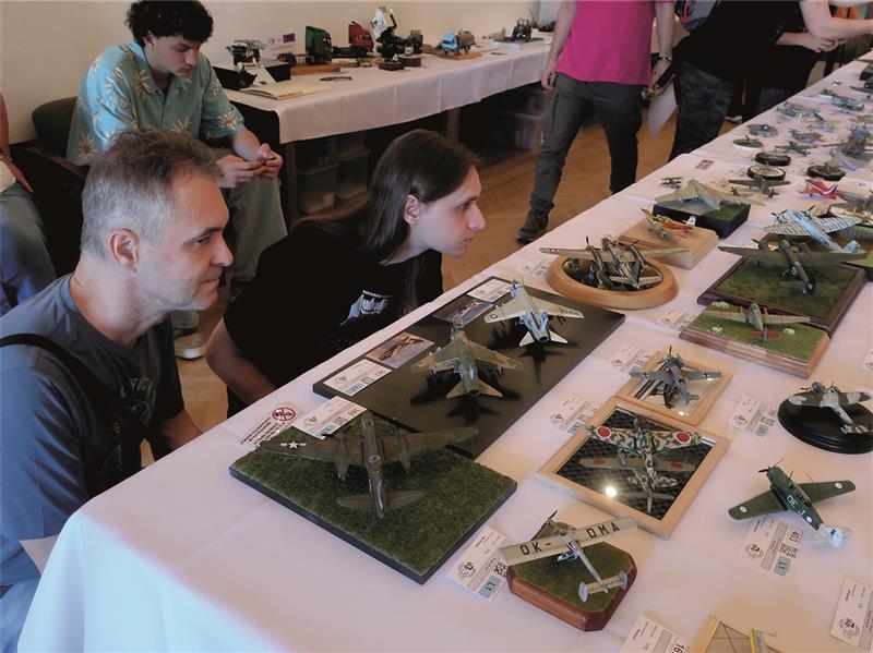 Na Beskyd Model Kit show bylo k vidění na sedm set modelů nejrůznější techniky. Akci si i díky pěknému počasí jako svůj sobotní program vybralo méně lidí než vloni. FOTO: ROMAN KRESTA