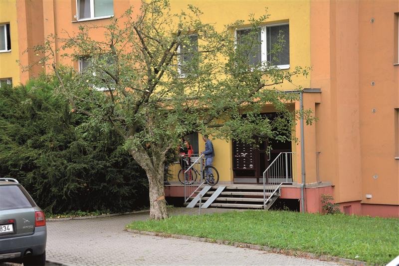 Poškozená jabloň na ulici Alšově zůstává i po naříznutí kmene na svém místě. Správce zeleně věří, že ořez koruny a ošetření rány strom zachrání. FOTO: DAVID MACHÁČEK