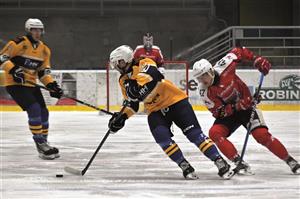 Třetí výhru v řadě zapsali hokejisté Kopřivnice doma proti Havlíčkovu Brodu, na snímku s pukem útočník Ondřej Sluštík. FOTO: MAREK HAVRAN