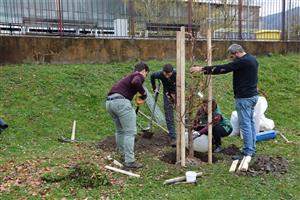 V pátek 15. listopadu byla v parku E. Beneše vysazena metasekvoj věnovaná místnímu rodákovi Zdeňku Burianovi. Výsadbu zaplatila Nadace Partnerství z výtěžku dražby.