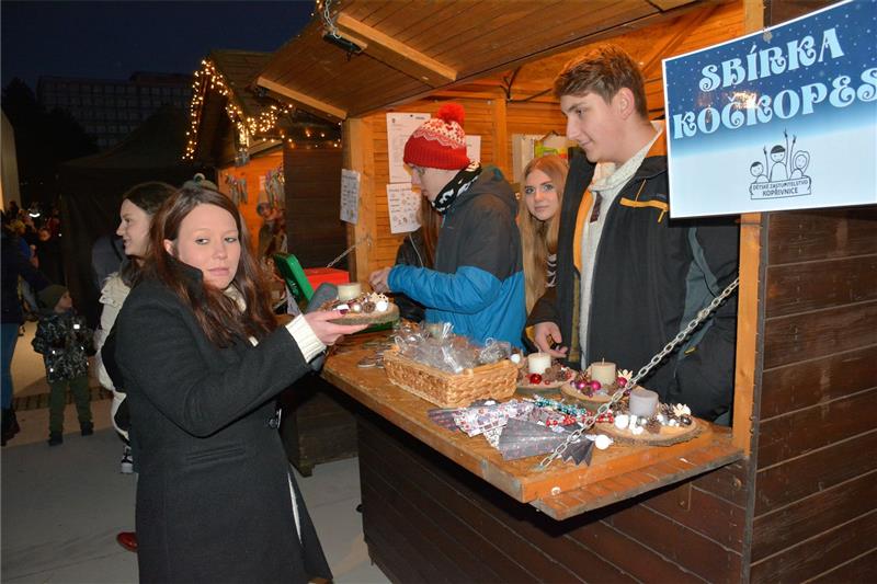 Součástí dobročinného jarmarku, pořádaného u příležitosti zahájení adventu, byla i sbírka na pomoc zvířecím útulkům, pořádaná dětským zastupitelstvem.
