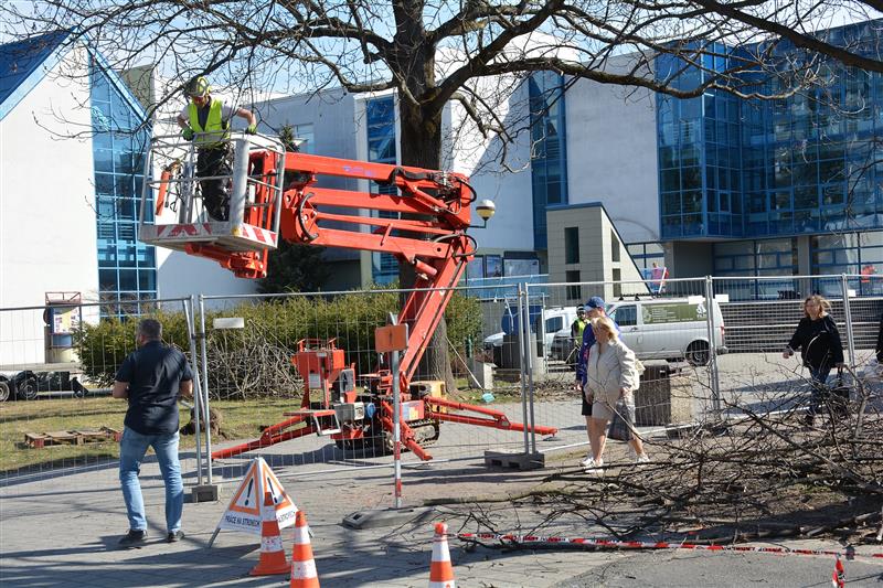 V pondělí začaly ořezem vzrostlých stromů a demontáží zábradlí a mobiliáře práce na proměně předprostoru Technického muzea Tatra. To je z toho důvodu minimálně do konce března uzavřeno návštěvníkům.