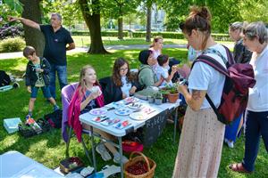 Společně s Evropským svátkem hudby proběhla v sadu E. Beneše i premiéra Zahrádky – jarmarku určeného mladým tvůrcům do 18 let.
