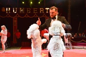 Principál cirkusu Humberto Hynek Navrátil mladší v průběhu programu vystupuje hned s několika čísly. V úvodu je to vystoupení se psy.