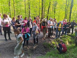 Měsíc pro zemi - Léčivá síla kamenů a bylin 9