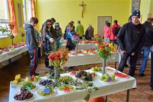 V neděli proběhla v Katolickém domě v Lubině tradiční výstava tamních zahrádkářů, na které nechyběly tradičně ani houby a květinové vazby