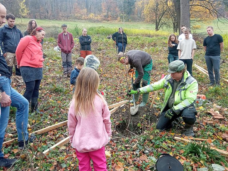 Postupná obnova samoty U Hurských pokračovala minulou neděli výsadbou původních odrůd historických stromů. Na výsadbě se podílelo přes 30 dobrovolníků.