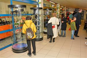 Účastníci víkendového filmového Supermaratonu si užili nejen filmy s komixovými hrdiny, ale i stylovou výzdobu téměř celého kulturního domu.