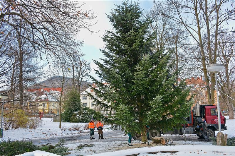 Instalaci vánočních stromů v Kopřivnici letos komplikoval vítr. V pondělí tak byl místo obou jehličnanů umístěn pouze jeden, a to do prostoru před Ringhofferovu vilu. Druhý se v úterý objevil na Novém náměstí.