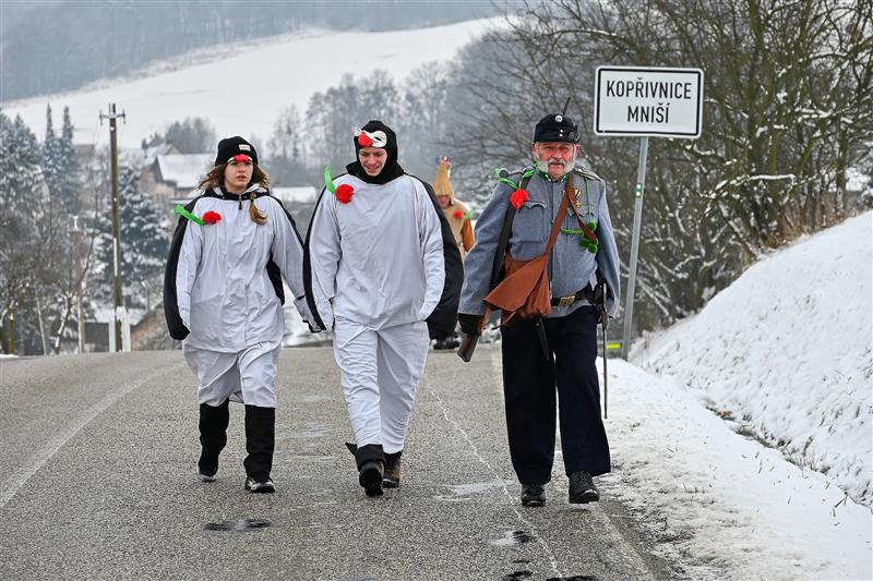 Obyvatelé Mniší si v sobotu užili masopustní průvod v zimních kulisách. Na obchůzku obcí vyrazilo několik desítek lidí v tradičních i netradičních kostýmech v doprovodu kapely i harmonikářů na voze taženém koňmi.